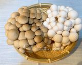 Meiling。。青蔥炒菇菇的食譜步驟1照片