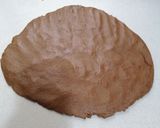 Foto del paso 3 de la receta: Polvorones de chocolate