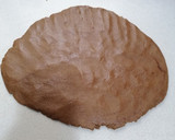 Foto del paso 3 de la receta: Polvorones de chocolate