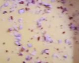 A picture of step 7 of Ice Cream Falooda With HomeMade Sawaiyan.