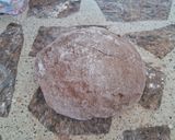Foto del paso 6 de la receta: Bizcochitos de chocolate y canela rellenos de dulce de guayaba🍫