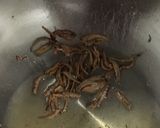 A picture of step 4 of Sautéed Tempe Mixed With Anchovies.