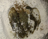 Foto del paso 1 de la receta: Pancitos fácil rápido y sin levadura