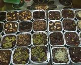 Foto langkah ke 10 dari resep Brownies Cokelat.