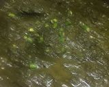 A picture of step 4 of Palak gosht.