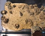 Une image de l'étape 8 de Asperges blanches aux morilles fraîches.