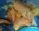 Foto del paso 3 de la receta: Spaghetti con camarones