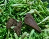 Foto langkah ke 1 dari resep Tumis Bunga Pepaya.