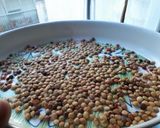 Foto del paso 3 de la receta: Brotes de lentejas