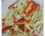 A picture of step 2 of Coleslaw salad.