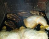 Foto del paso 2 de la receta: Pollo asado al ajo