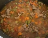 Foto del paso 5 de la receta: Caldo de bisteck con verduras