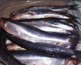 Foto del paso 1 de la receta: Anchoas caseras