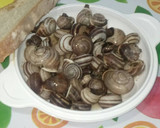 Foto del paso 4 de la receta: Caracoles picantes con ajo y perejil