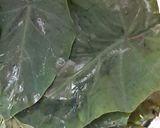 A picture of step 1 of Taro Leaf Fritters (Arbi ke Patte ke Pakode).