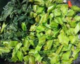 Foto langkah ke 4 dari resep Oseng Tempe Kecipir dan Daun Singkong.