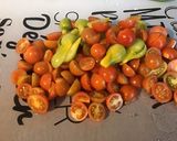 Une image de l'étape 3 de Soupe de légumes du jardin aux vermicelles.