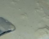 A picture of step 2 of Tricolour Peda.