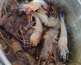 Foto langkah ke 1 dari resep Udang galah saos pedas manis.