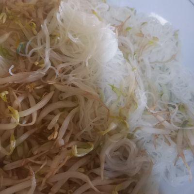 Langkah 1