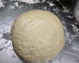 Foto del paso 5 de la receta: Pizza casera enriquecida