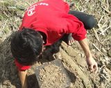 รูปขั้นตอนการทำที่ 1 ของ ไก่อบฟาง (สูตรในตำนาน)
