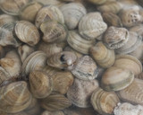 Foto del paso 1 de la receta: Papas con chirlas