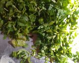 मेथी थेपला (methi thepla recipe in Hindi) रेसिपी चरण 1 फोटो