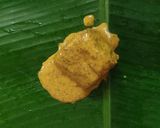 A picture of step 2 of Vetki paturi.