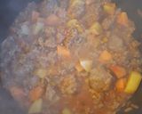 Foto del paso 3 de la receta: Mi guisito :)