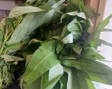 A picture of step 1 of Water Spinach fry with Garlic pods or Rashun diy Kolmi Shaak Bhaja.