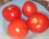 Foto del paso 1 de la receta: Casarecce en salsa 🌶️🌶️🌶️
