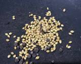 Moonga Gaathi sprouts subji Goa style recipe step 1 photo
