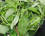 A picture of step 7 of Double spinach soup.