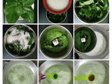 પાન ફાલુદા (Paan Falooda Recipe In Gujarati)