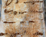 Foto del paso 6 de la receta: Tiramisú