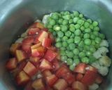 મિક્સ વેજીટેબલ સબ્જી (Mix Vegetable Sabji Recipe In Gujarati) રેસીપી સ્ટેપ1ફોટો