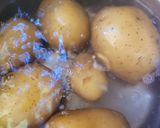 Muszaka, a görög rakott padlizsán recept fázis 1 fotója