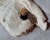 Une image de l'étape 3 de Pain matloue 🌾.