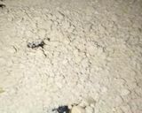 Foto del paso 14 de la receta: Fécula y harina de mandioca casera