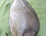 Foto langkah ke 1 dari resep #258. Ikan Bontana Batu Tanduk Goreng Tepung.