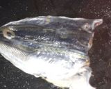 Foto del paso 5 de la receta: Jurel al ajillo con alcachofas salteadas con jamon..,