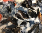 Foto del paso 1 de la receta: 93. Sopa de ajo de pescado (entrante sopa)