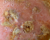 Foto del paso 3 de la receta: Taquitos de salsa de chicharrón con lechuga