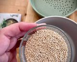 Foto del paso 1 de la receta: Ensalada de rúcula y canónigos con quinoa y pechuga de pollo sabor Cookpad