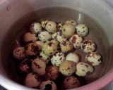 Foto langkah ke 1 dari resep Santenan gori dan telur puyuh.