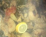 A picture of step 5 of Iraqi vegetarian Dolma.