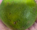 A picture of step 1 of Sunshine Sparkler or Moushambi mocktail.