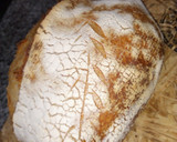 Foto del paso 5 de la receta: Pan de Masa Madre