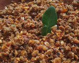 Foto langkah ke 5 dari resep Sambal Oncom Bandung.
